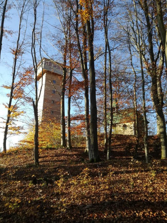 Gasthaus Zur Waldesruh Waffenbrunn Kültér fotó