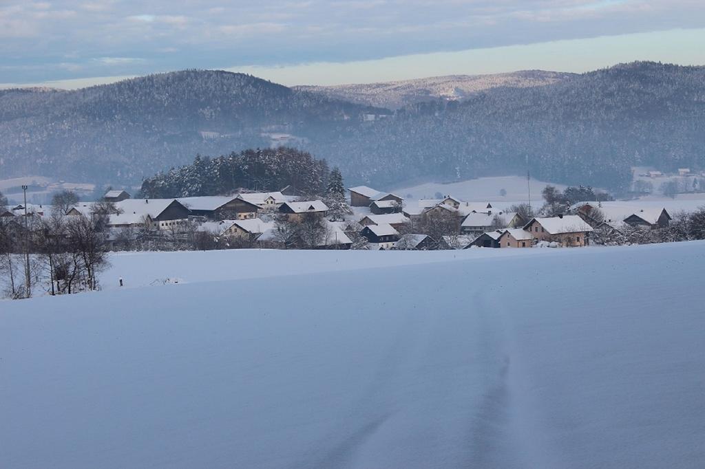 Gasthaus Zur Waldesruh Waffenbrunn Kültér fotó