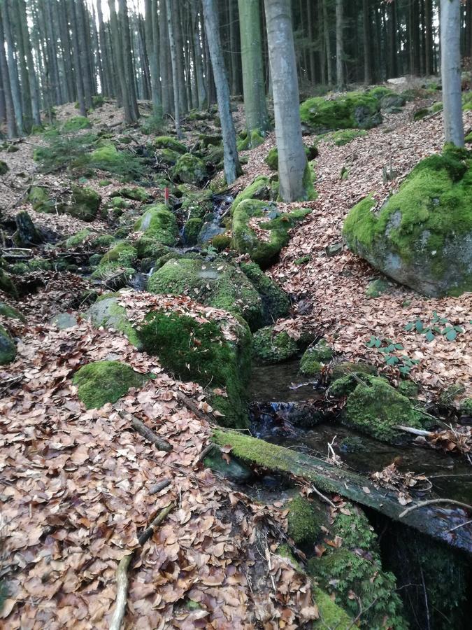 Gasthaus Zur Waldesruh Waffenbrunn Kültér fotó